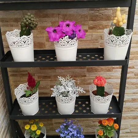 Apartament Sweet
