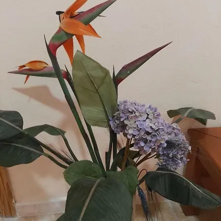 Apartament Sweet Las Palmas de Gran Canaria